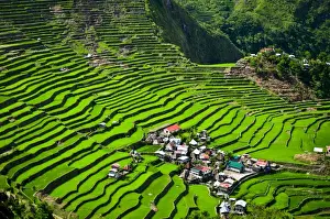 Batad Rice Terraces Prints: Batad Rice Terraces