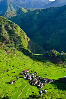 Batad Rice Terraces Prints: Batad Rice Terraces