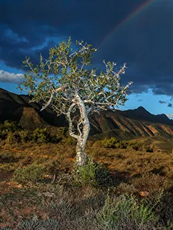 Baviaanskloof Mega Reserve, Beauty In Nature, Color Image, Day, Eastern Cape, Landscape Baviaanskloof Mega Reserve, Beauty In Nature, Color Image, Day, Eastern Cape, Landscape
