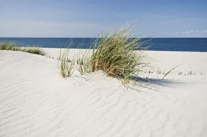 Beach, List, Sylt island, Schleswig-Holstein, Germany, Europe Beach, List, Sylt island, Schleswig-Holstein, Germany, Europe