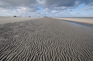 Beach of Sankt Peter-Ording in the morning sun during low tide with stilt houses Beach of Sankt Peter-Ording in the morning sun during low tide with stilt houses