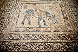 Beautiful mosaics at Volubilis Beautiful mosaics at Volubilis