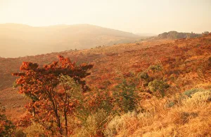 beauty in nature, color image, day, eastern highlands, grass area, hill, horizon over land beauty in nature, color image, day, eastern highlands, grass area, hill, horizon over land