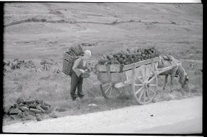 County Kerry Landscape Prints: Boy Loading Peat into Wagon