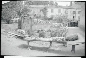 French Village Life Prints: Drying and Sorting Wool