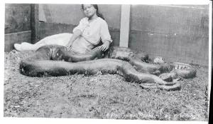 Philippine Wildlife Prints: Girl Relaxing with a Python