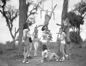 Circus Performers Prints: Learning to Do It with Greatest of Ease