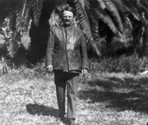 Leon Trotsky Prints: Leon Trotsky