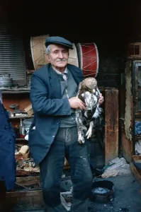 Istanbul Grand Bazaar Prints: Man With Eagle