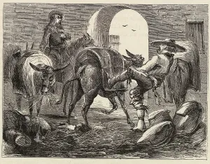 Vintage Transportation Methods Prints: Man Loading Mules