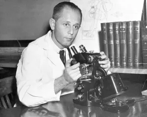 Scientist Portrait Prints: Scientist Using Microscope