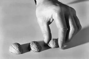 Shell Game Close-up Print: Walnut Shells in Motion