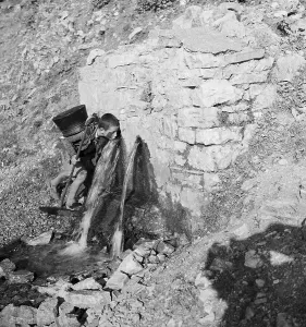 Shepherd Drinking from Spring Print