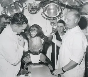 Vintage Science Photography Prints: Space Physicians With Experimental Monkey