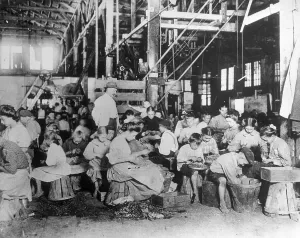 Women In The Workforce Prints: String Beans Being Processed by Hand
