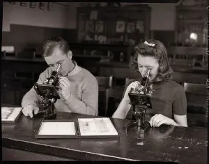 Classroom Scenes From The Past Prints: Students Looking Through Microscopes