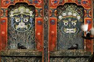 Bhutan, Punakha Valley, Punakha Dzong, pigeons on monastery wall Bhutan, Punakha Valley, Punakha Dzong, pigeons on monastery wall