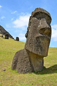 Big half buried moai portrait in Easter Island Big half buried moai portrait in Easter Island