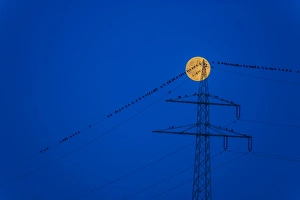 Birds on a power line with a rising moon in the blue hour, Baden-Wurttemberg, Germany Birds on a power line with a rising moon in the blue hour, Baden-Wurttemberg, Germany