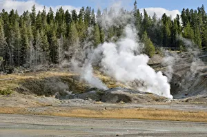 Black Growler Steam Vent, Porcelain Basin, Norris Geyser Basin, Yellowstone National Park Black Growler Steam Vent, Porcelain Basin, Norris Geyser Basin, Yellowstone National Park