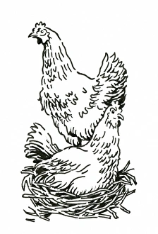Black and white digital illustration of two chickens, one standing Black and white digital illustration of two chickens, one standing