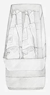 Black and white illustration of bunches of dried flowers wrapped up in newspaper Black and white illustration of bunches of dried flowers wrapped up in newspaper