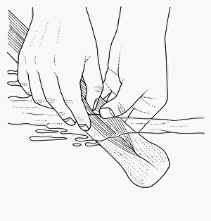 Black and white illustration of cleaning leeks in water Black and white illustration of cleaning leeks in water