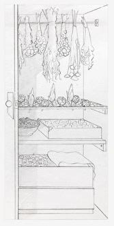 Black and white illustration of dried flowers stored in a cupboard Black and white illustration of dried flowers stored in a cupboard