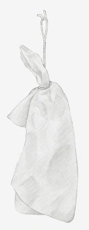 Black and white illustration of dried hydrangea flower hung up to dry Black and white illustration of dried hydrangea flower hung up to dry