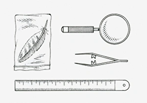 Black and white illustration of a feather in a sealed bag, a magnifying glass, a pair of tweezers, a ruler Black and white illustration of a feather in a sealed bag, a magnifying glass, a pair of tweezers, a ruler
