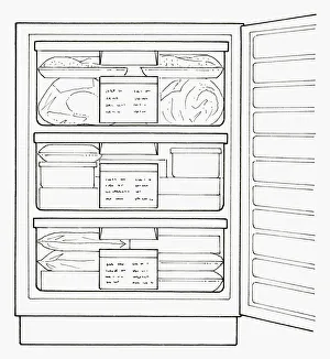 Black and white illustration full freezer with labelling on drawers Black and white illustration full freezer with labelling on drawers