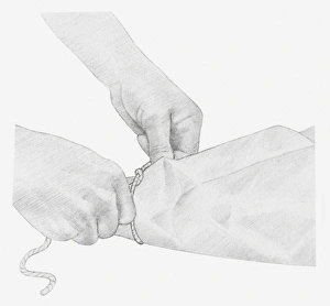 Black and white illustration of hands tying up a piece of string around dried hydrangea Black and white illustration of hands tying up a piece of string around dried hydrangea