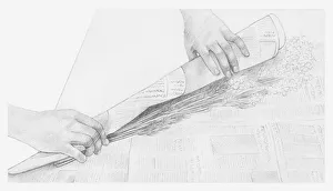 Black and white illustration of hands wrapping a bunch of dried flowers in newspaper Black and white illustration of hands wrapping a bunch of dried flowers in newspaper