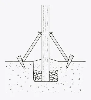 Black and white illustration of repositioned and repaired wooden post using supports Black and white illustration of repositioned and repaired wooden post using supports