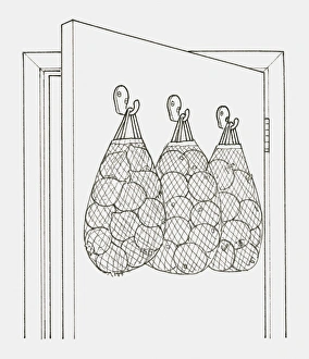 Black and white illustration of string bags holding fruit Black and white illustration of string bags holding fruit