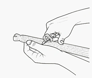 Black and white illustration of stringing celery using vegetable peeler Black and white illustration of stringing celery using vegetable peeler