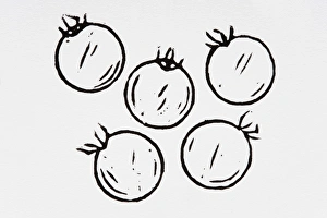 Black and white illustration of five tomatoes Black and white illustration of five tomatoes