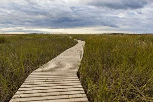 Boardwalk through tidal marsh at Massachusetts Audubons Wellfleet Bay Wildlife Sanctuary Boardwalk through tidal marsh at Massachusetts Audubons Wellfleet Bay Wildlife Sanctuary