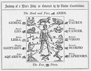 Body Parts and Corresponding Constellations Body Parts and Corresponding Constellations
