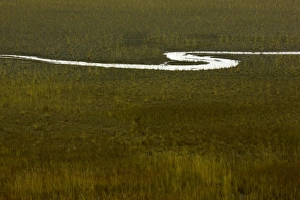 Bog and small river, Yukon Territory, Canada Bog and small river, Yukon Territory, Canada