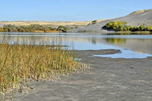 Branch of the Great Dune Lake, Bruneau Dunes State Park, Bruneau, Idaho, USA Branch of the Great Dune Lake, Bruneau Dunes State Park, Bruneau, Idaho, USA