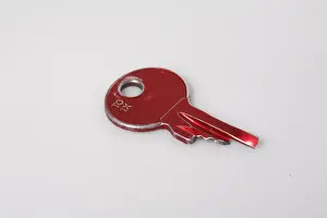 Closeup Photography Prints: Broken key