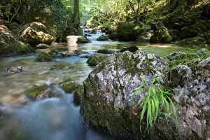 Brook of Myra Falls, Muggendorf, Lower Austria, Austria Brook of Myra Falls, Muggendorf, Lower Austria, Austria