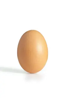 Cut Out Food Photography Prints: A brown egg