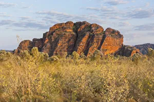 Bungle Bungles, beehive-shaped sandstone towers, Purnululu National Park Bungle Bungles, beehive-shaped sandstone towers, Purnululu National Park