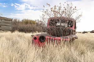 A bush grows out of a truck's engine block A bush grows out of a truck's engine block