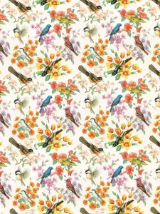 White Background Bird Art Prints: Bird pattern