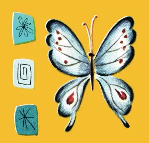 Colorful Butterfly Pictures Prints: Butterfly pattern