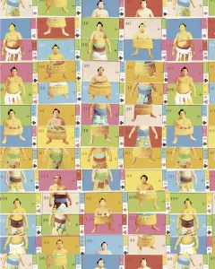 Chop Sumo Pattern Fine Art Print