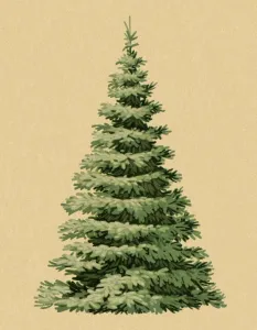 Captivating Pop Art Illustrations Prints: Pine Tree